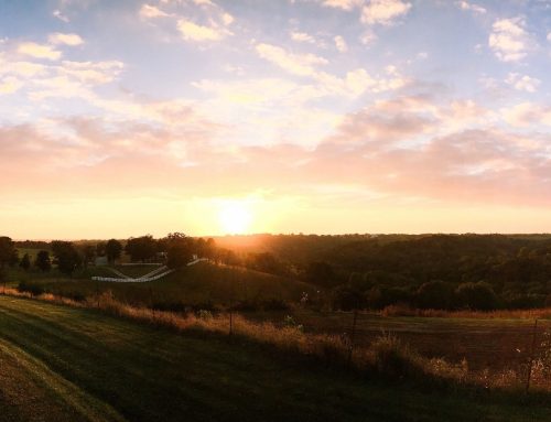 Electrical System Prep for Summer Heat in Raleigh, NC | The Electric Solution